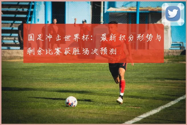 国足冲击世界杯：最新积分形势与剩余比赛获胜场次预测