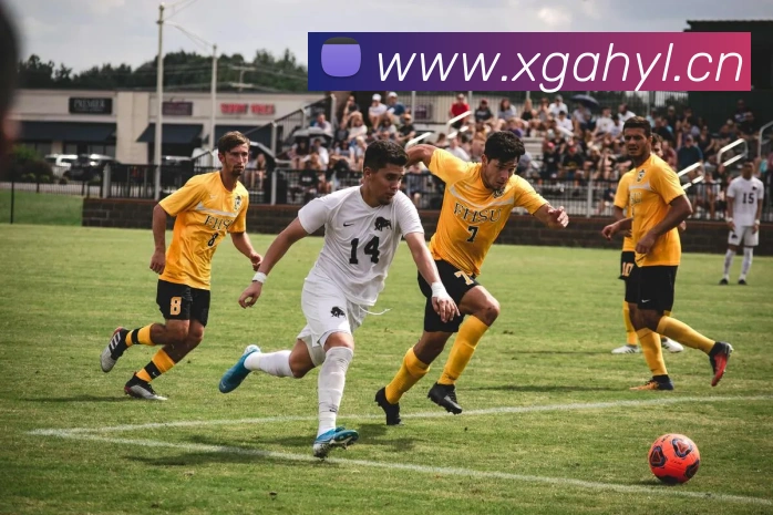 App Interface Preview