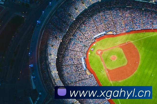 问鼎pg官方入口APP 封面图